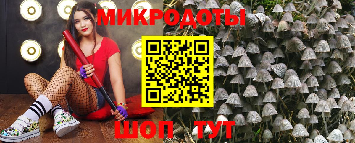 Галлюциногенные грибы MAGIC MUSHROOMS Серов