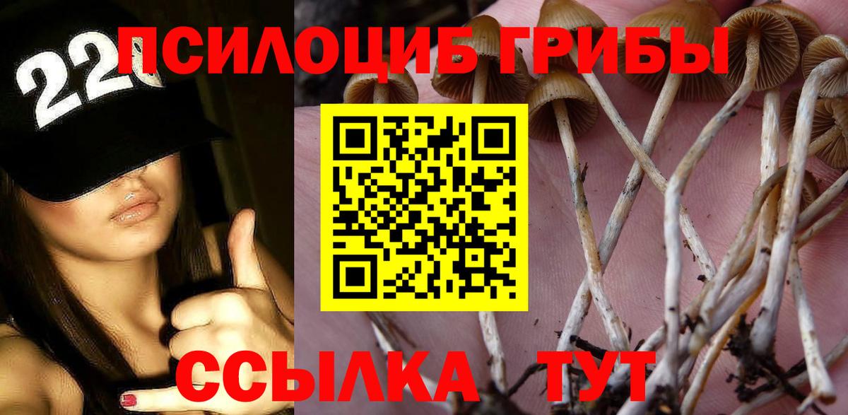 Серов  где можно купить   Вход с VPN  Галлюциногенные грибы Cubensis 